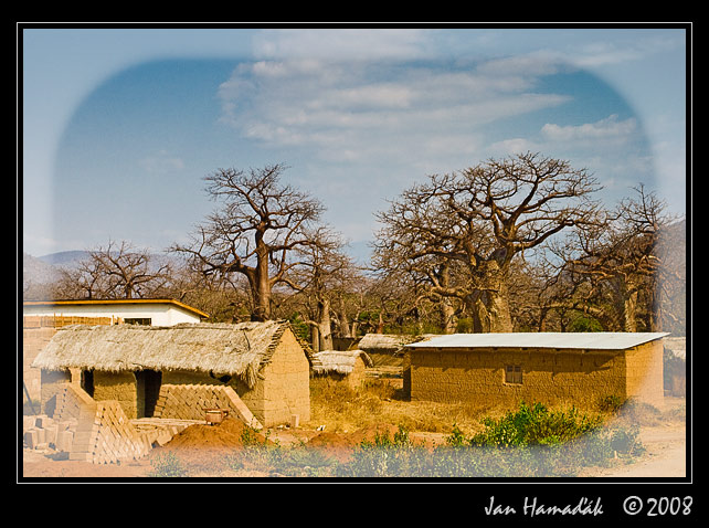 tanzanie_baobab_valley.jpg