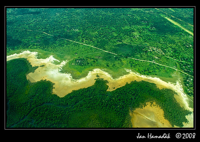 11_kena_lamu_mangroves.jpg