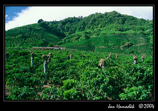 Kostarika2004_04.jpg