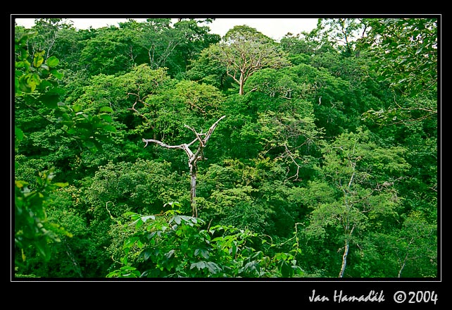 Kostarika2004_13.jpg