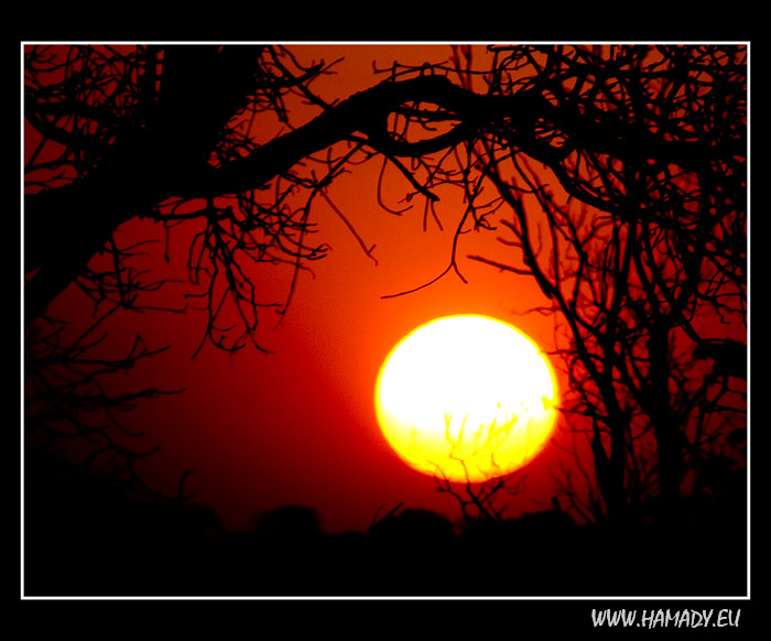 17_zambie_sunset.jpg