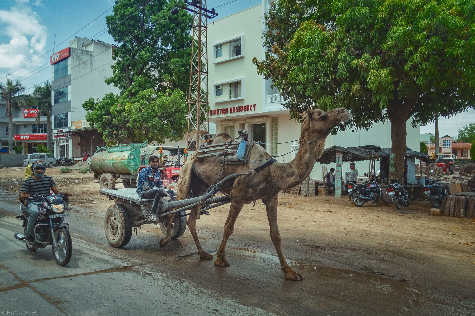 20190417-0778-sawai_madhopur