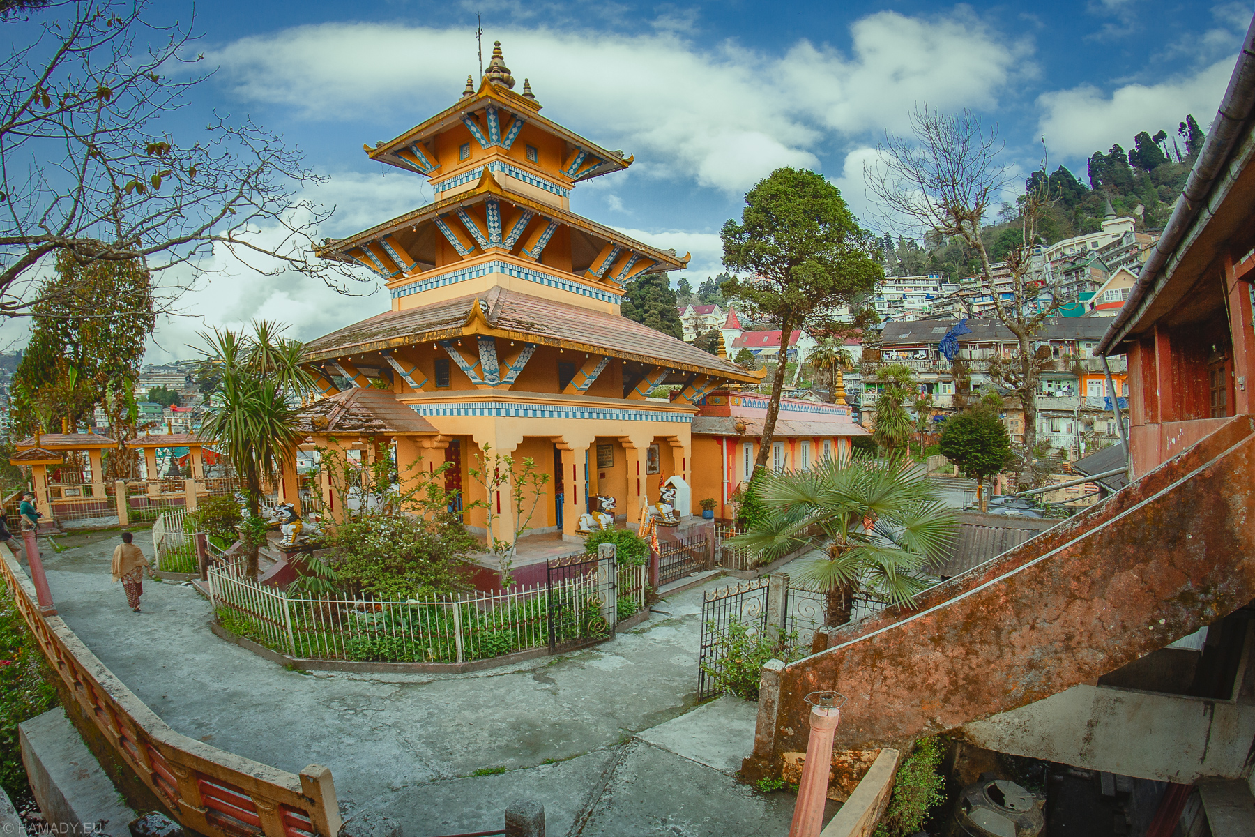 20190408-darjeeling-0749-