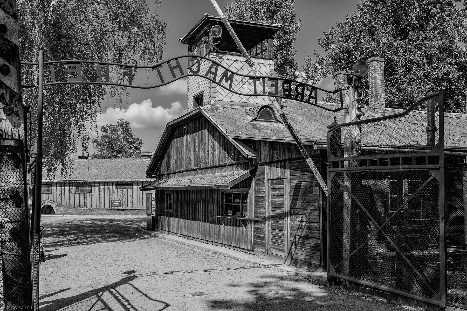 20220905-4110_auschwitz-