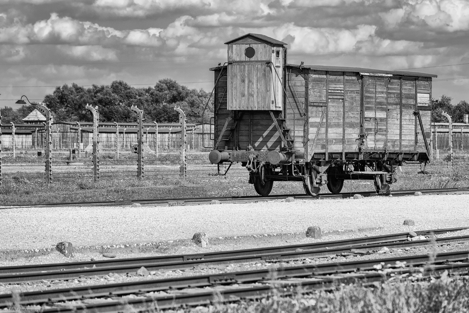 20220905-4188_birkenau-