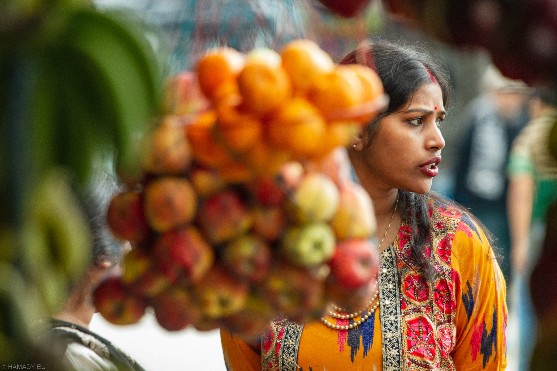 20190405_kaziranga-9844