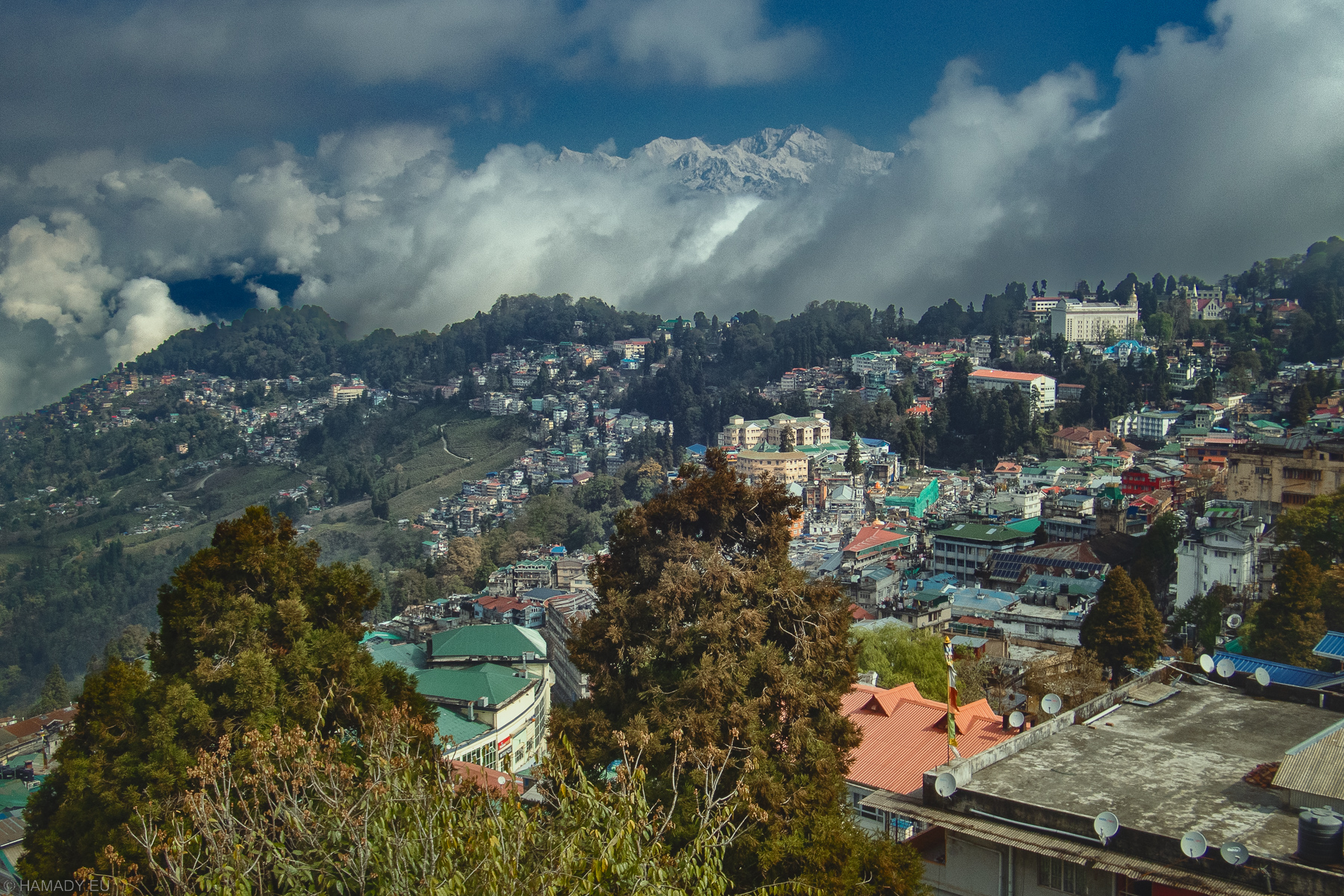 20190408_darjeeling-0007-