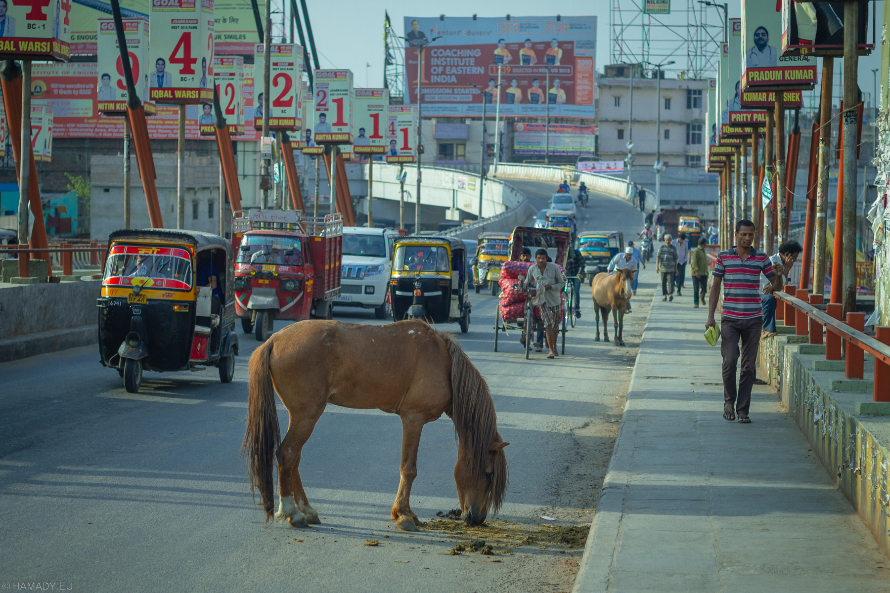 20190410_new_jalpaiguri-0913