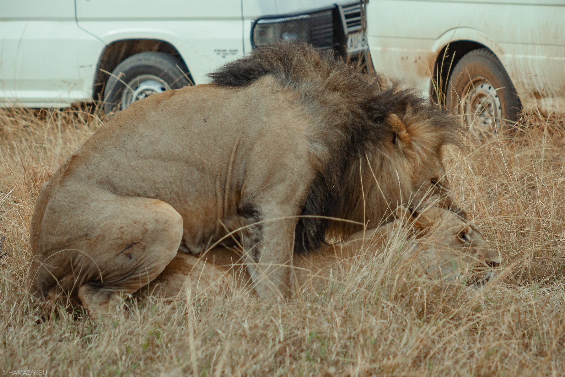 20080712_masaimara-2005